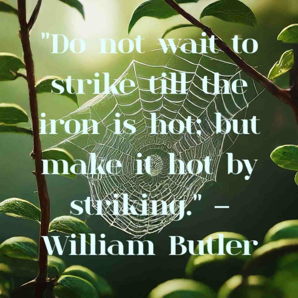  "Do not wait to strike till the iron is hot; but make it hot by striking." – William Butler Yeats