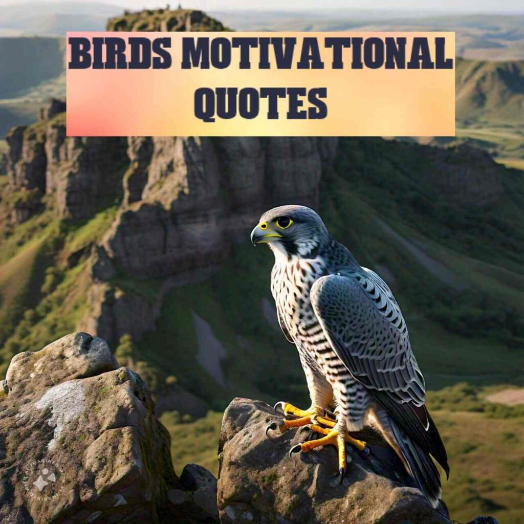 Birds Motivational Quotes