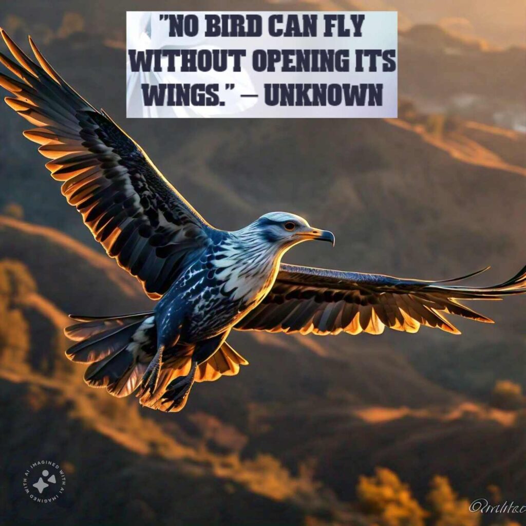 "No bird can fly without opening its wings." – Unknown