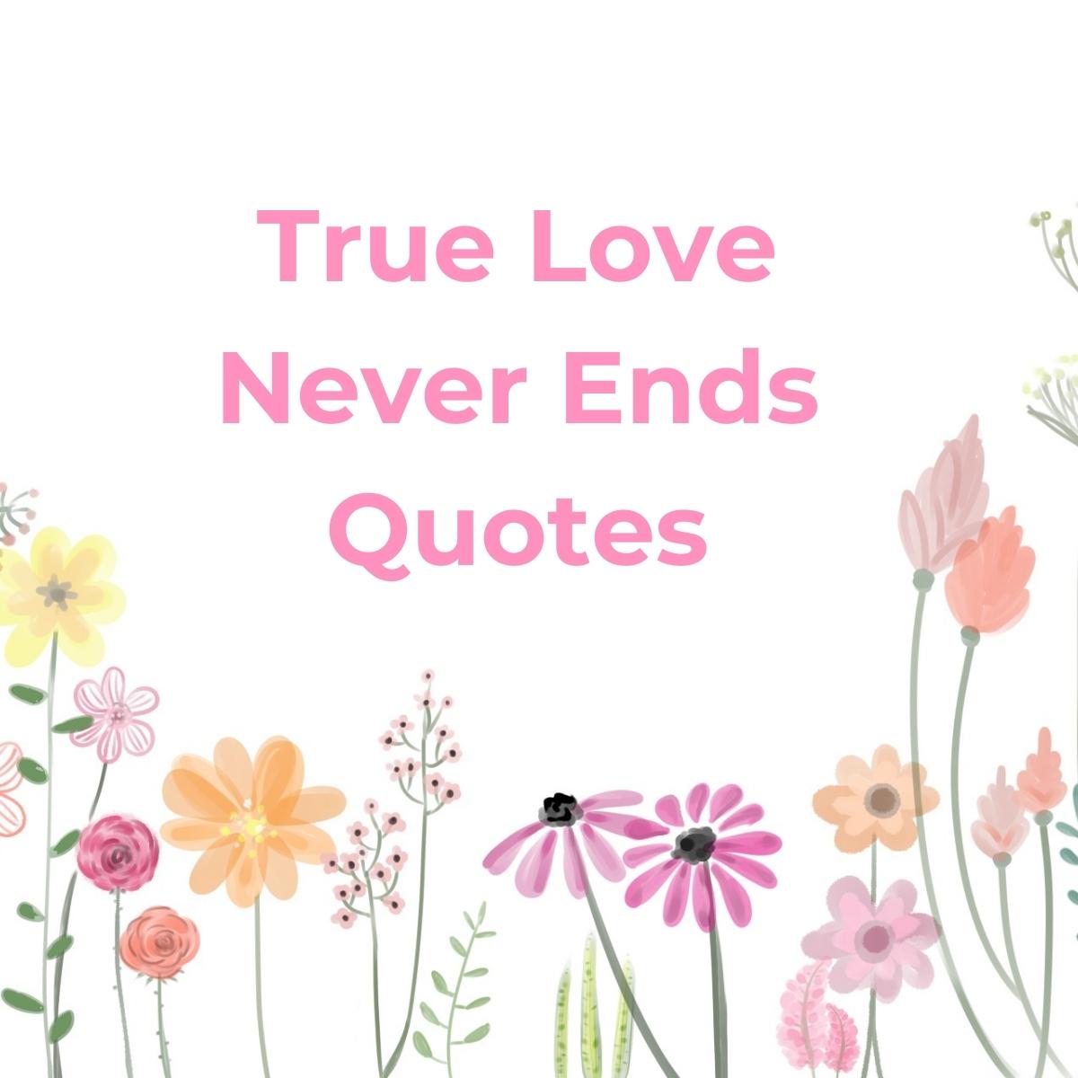 True Love Never Ends Quotes