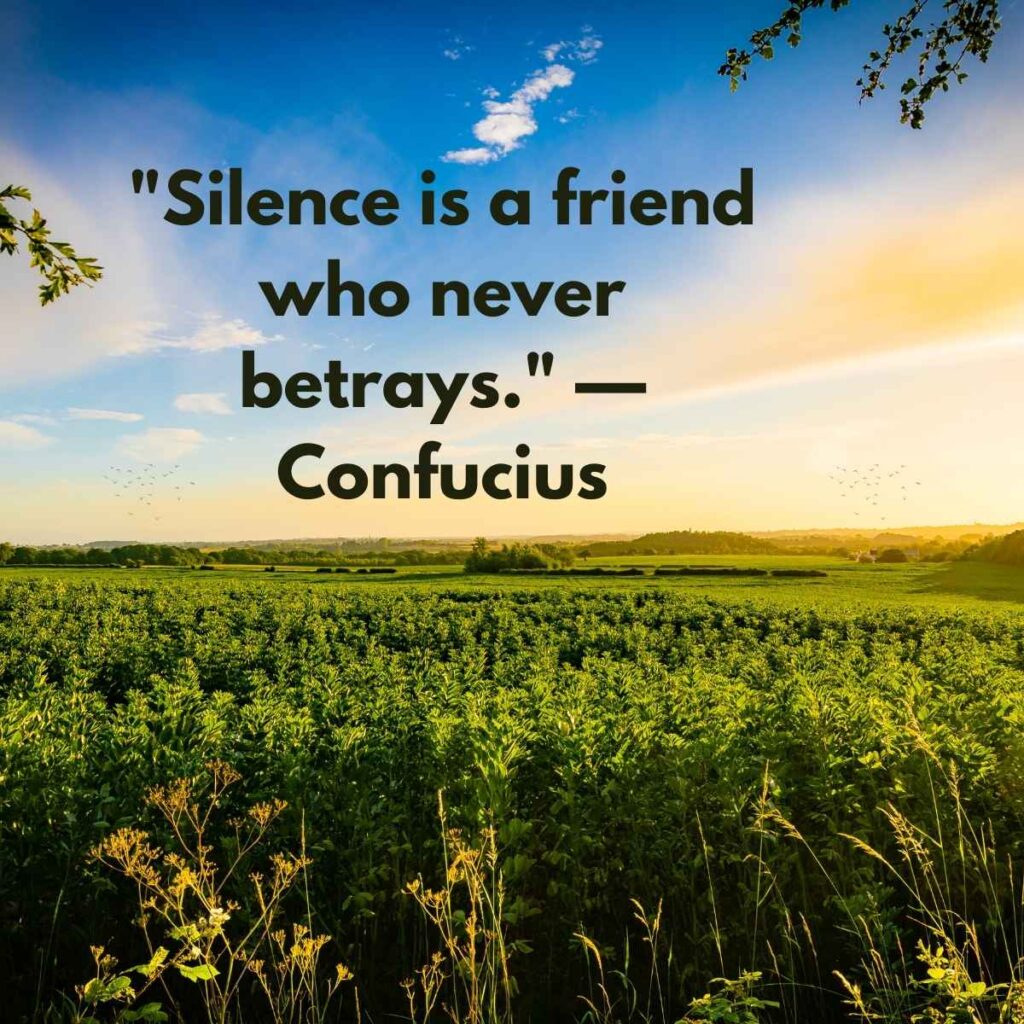 "Silence is a friend who never betrays." — Confucius