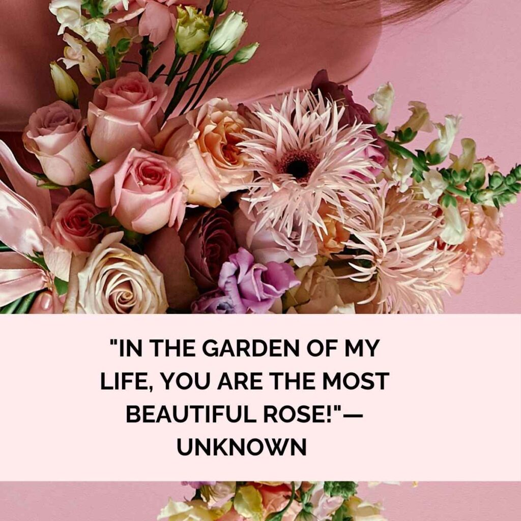 "In the garden of my life, you are the most beautiful rose!"—Unknown 