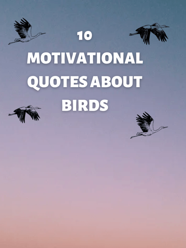10 Motivational Quotes about Birds